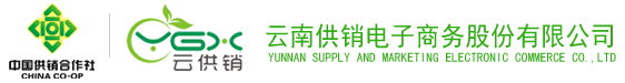 DB视讯电子商务股份有限公司